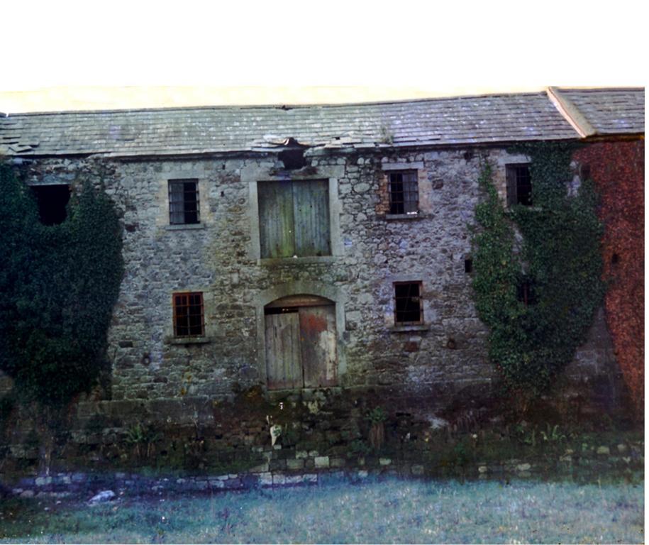 Fort House Bed & Breakfast Kilbeggan Eksteriør bilde